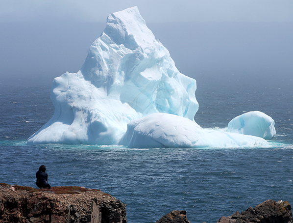 iceberg newfoundland